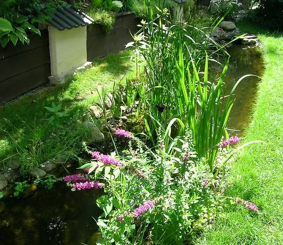 Apartmán Sonnenhang